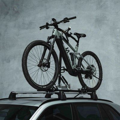 Bike Lifter